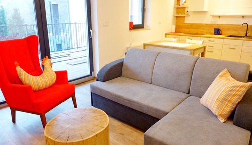 Standard Apartment, 1 Double Bed with Sofa bed