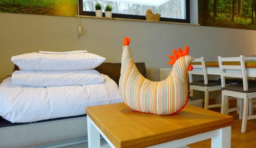 Basic Apartment
