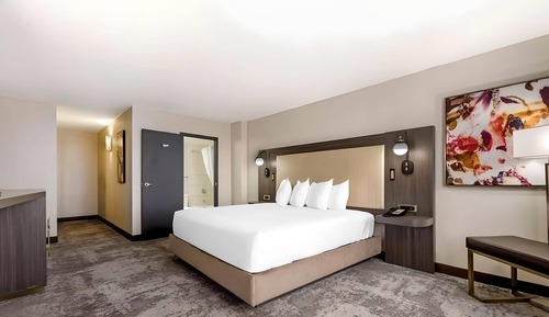 Room, 1 King Bed, Accessible, Non Smoking