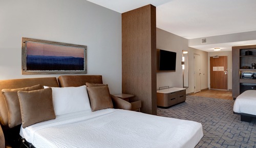Room, 1 King Bed