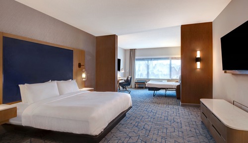 Suite, 1 King Bed with Sofa bed