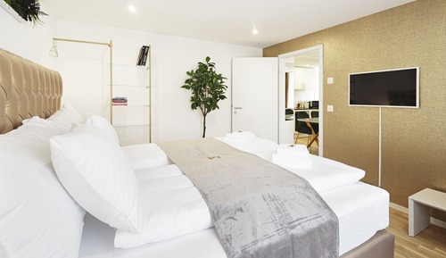 Modern Apartment with 1 Bedroom
