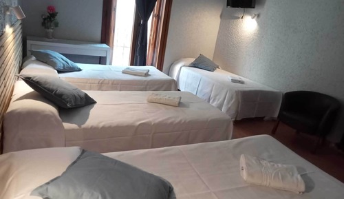 Basic Quadruple Room