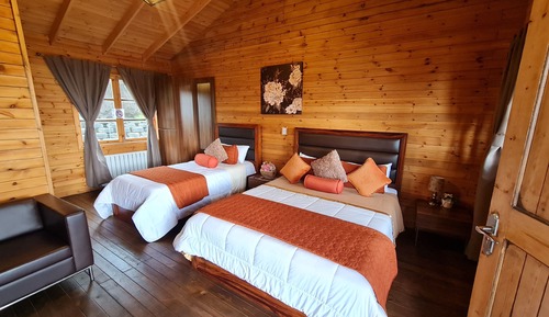 Premium Cabin