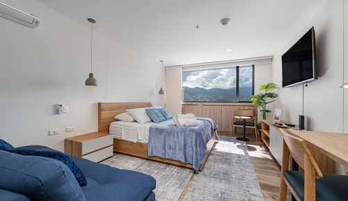 Studio Suite (1315)