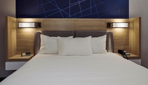 Suite, 1 King Bed with Sofa bed