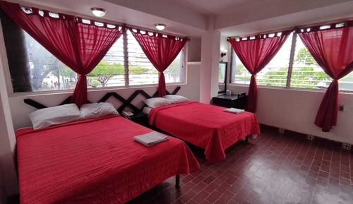 Basic Double Room
