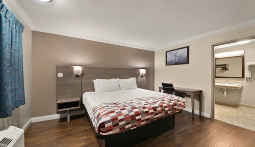Standard Room, 1 King Bed, Accessible, Non Smoking (Roll-In-Shower)