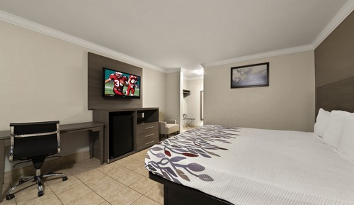 Standard Room, 1 King Bed, Non Smoking