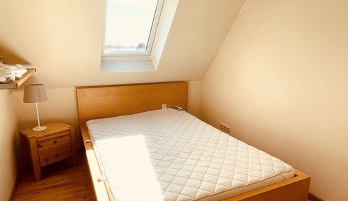 Junior Condo
