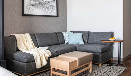 Room, 1 King Bed with Sofa bed, Accessible (Roll-in Shower)