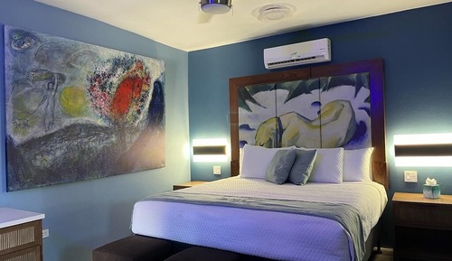 Premier Apartment, 1 King Bed with Sofa bed