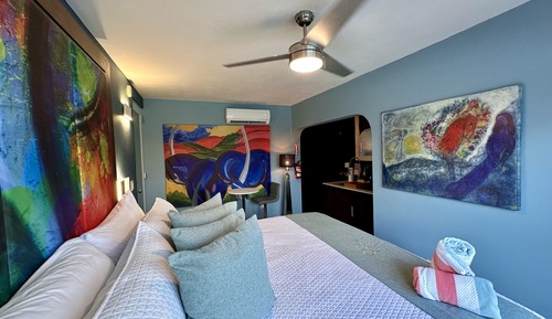 Premier Studio, 1 King Bed, Ocean View