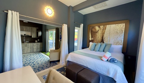 Junior Studio Suite