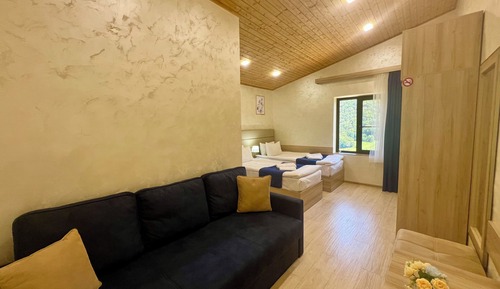 Standard Double or Twin Room
