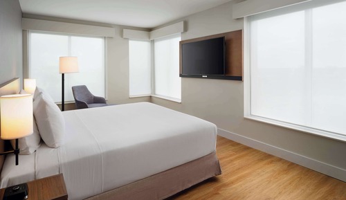 Room, 1 King Bed with Sofa bed, Accessible (Roll-In Shower)