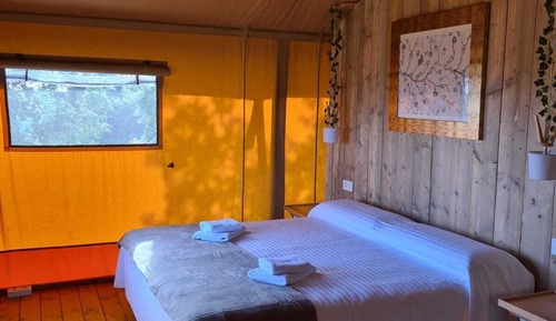 Junior Tent, 1 Queen Bed, Private Bathroom, Mountain View