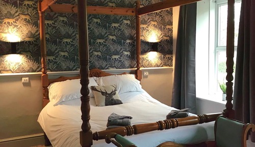Basic Double Room