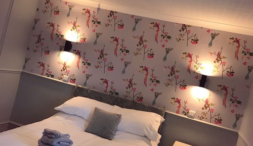 Basic Single Room