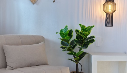 Superior Room, Sea View