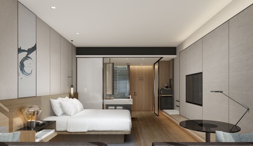 Standard Room, 1 King Bed, City View