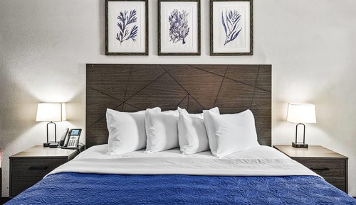 Suite, 1 King Bed, Non Smoking