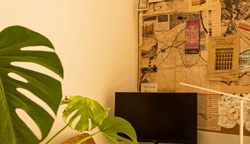 Business Studio