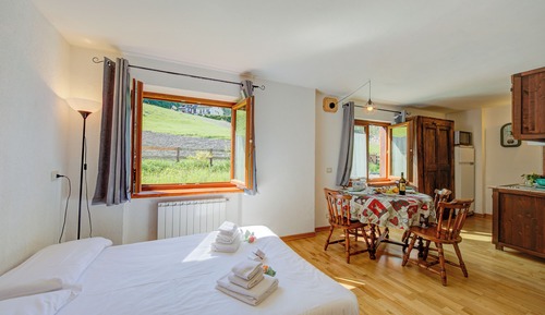 Standard Studio, Mountain View (Studio Clotes Ski In - Ski Out)
