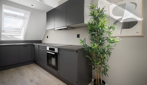 Premium Loft