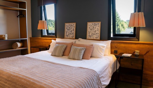 Premium Apartment, 1 King Bed with Sofa bed, Non Smoking, Mountain View