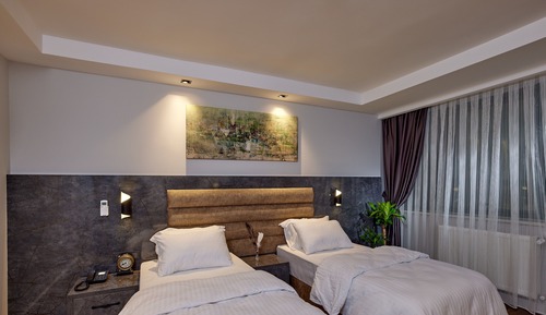 Double or Twin Room
