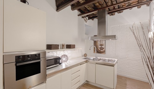 Luxury Apartment