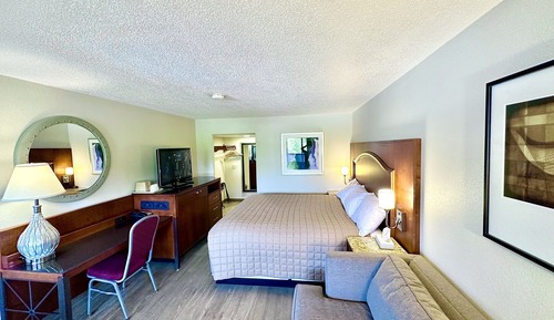 Basic Single Room