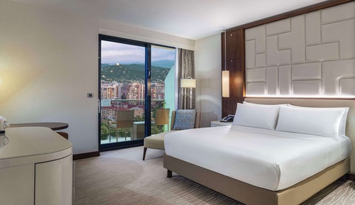 Room, 1 King Bed