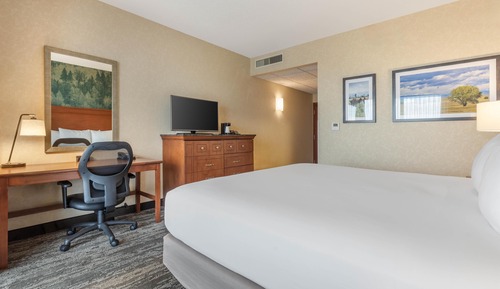 Deluxe Room, 1 King Bed, Accessible, Refrigerator & Microwave (Roll in Shower)