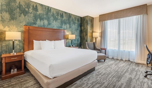 Deluxe Room, 1 King Bed, Accessible, Refrigerator & Microwave (Tub, Upper Floor)