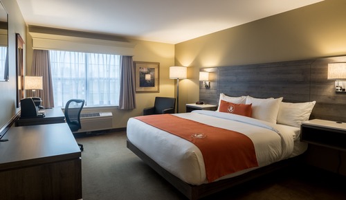 Room, 1 King Bed