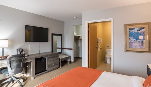 Room, 1 Queen Bed
