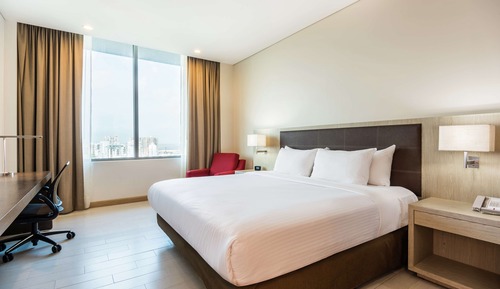 Room, 1 King Bed