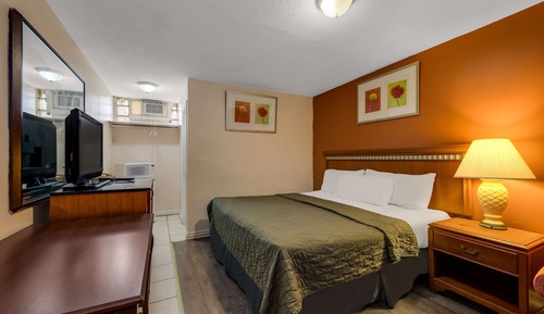 Room, 1 King Bed