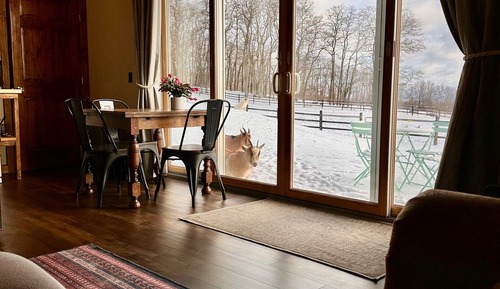 The Cabin Suite