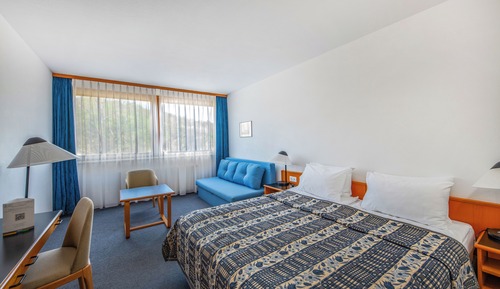 Standard Plus room with sofa bed