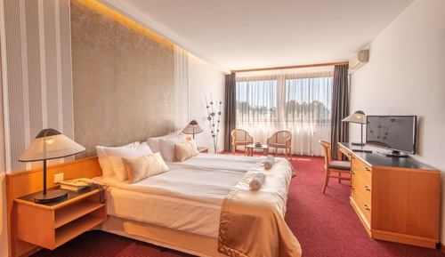 Suite with Park view