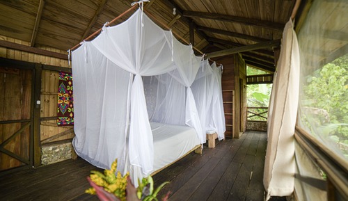Standard Room, Multiple Beds