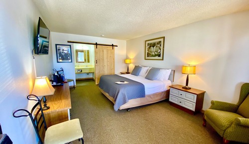 Standard Single Room, 1 King Bed