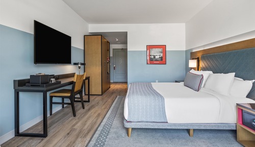 Room, 1 King Bed, Mountain View