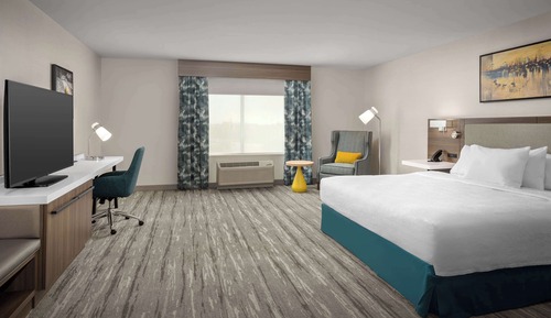 Room, 1 King Bed, Accessible (Roll-In Shower)