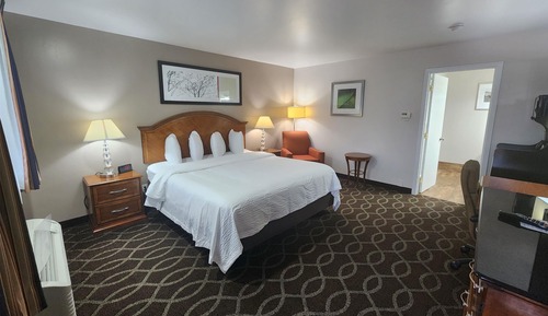 Room, 1 King Bed, Accessible, Non Smoking (Roll-in Shower)