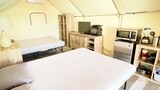 Standard Cabin