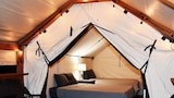 Standard Cabin